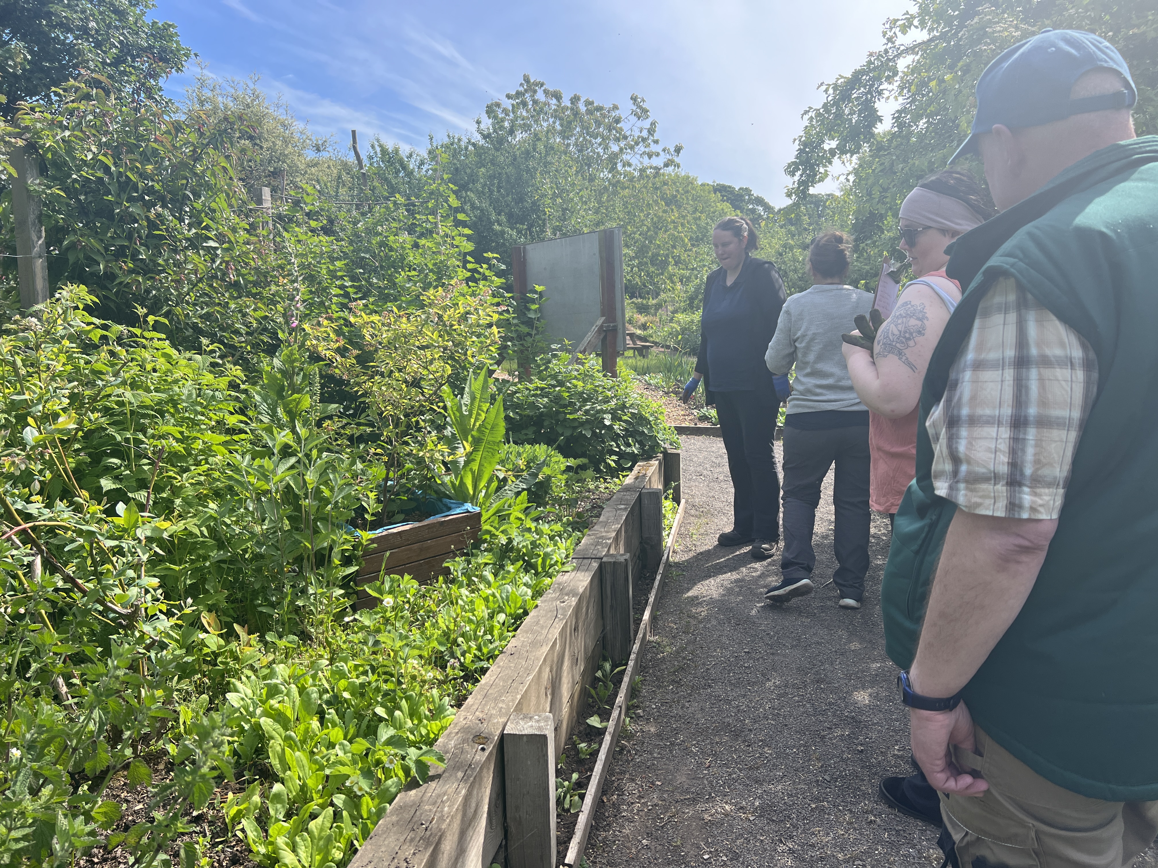 Group of volunteers in garden